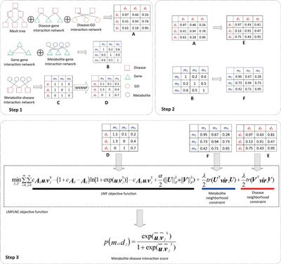 Metabolite-disease interaction prediction based on logistic matrix factorization and local neighborhood constraints